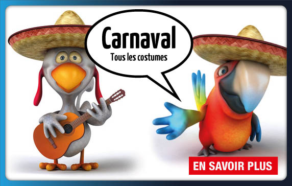 Les d�fil�s du carnaval c'est pour tr�s bient�t.
