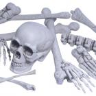 sac d' os avec crânes