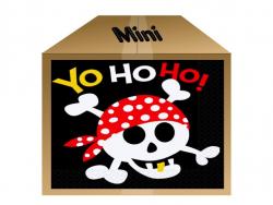 Pack Anniversaire Pirate Mini