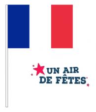 DRAPEAU FRANCAIS SUR HAMPE 30 X 50 CM BOLAND 62038 : Boumba : boutique  d'articles de fête, accessoires