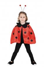 set coccinelle enfant