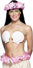 soutien gorge coquillage