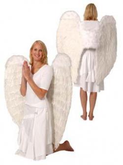 Maxi ailes d'ange plumes