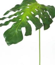 feuille de monstera artificielle