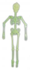 squelette de 140 cm