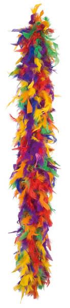 Boa Plume Multicolore