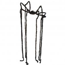 araignée avec tête et pattes géantes