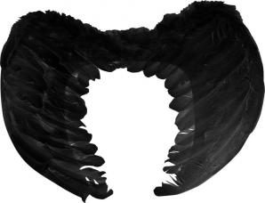 ailes d'ange noires petit modele