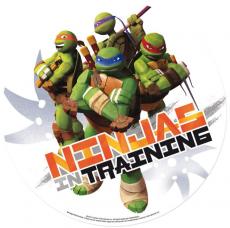 disque en sucre tortues ninja