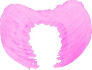 ailes d ange roses petit modele