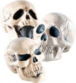 Crâne 12 cm 3 modèles assortis