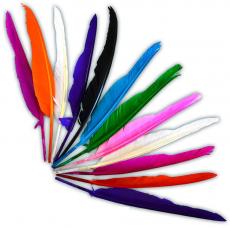 sachet de 12 plumes