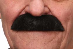 Moustache Noire Dupont