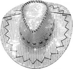 chapeau cow boy paillettes argent