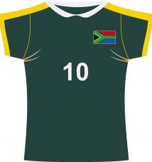 decoration maillot afrique du sud de rugby