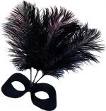 Loup Guadeloupe Plumes Noires