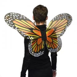 Ailes de papillon adulte