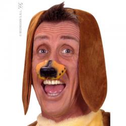 Oreilles de Chien Adulte