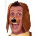 Accessoires Chiens