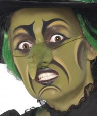 maquillage sorcière femme Halloween