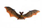 Chauve Souris en Tissu Marron