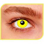 Lentilles Yellow out 