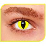 Lentilles Yellow cat 