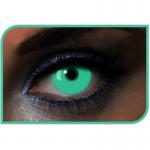 Lentilles green