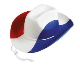 chapeau cowboy tricolore