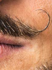 Barbes et Moustaches