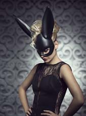 Accessoires Animaux