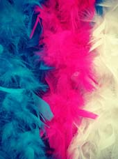 Boas & Plumes