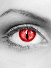 Lentilles