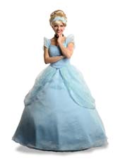 Déguisement Princesse