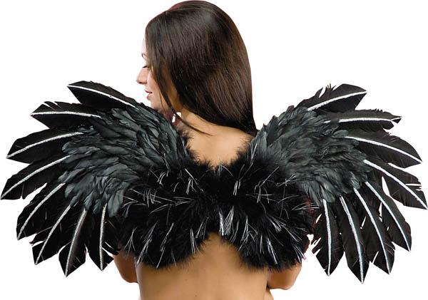 Ailes Plumes Noires Paillettes pas cher