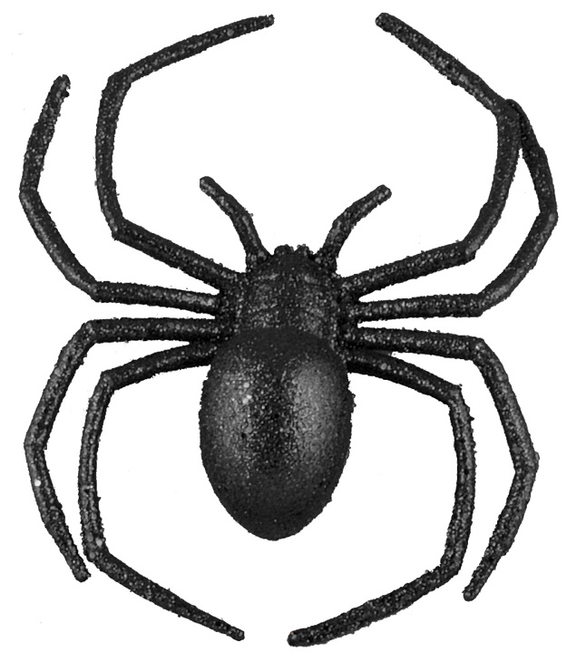 Araignée noire pailletée plastique pas cher