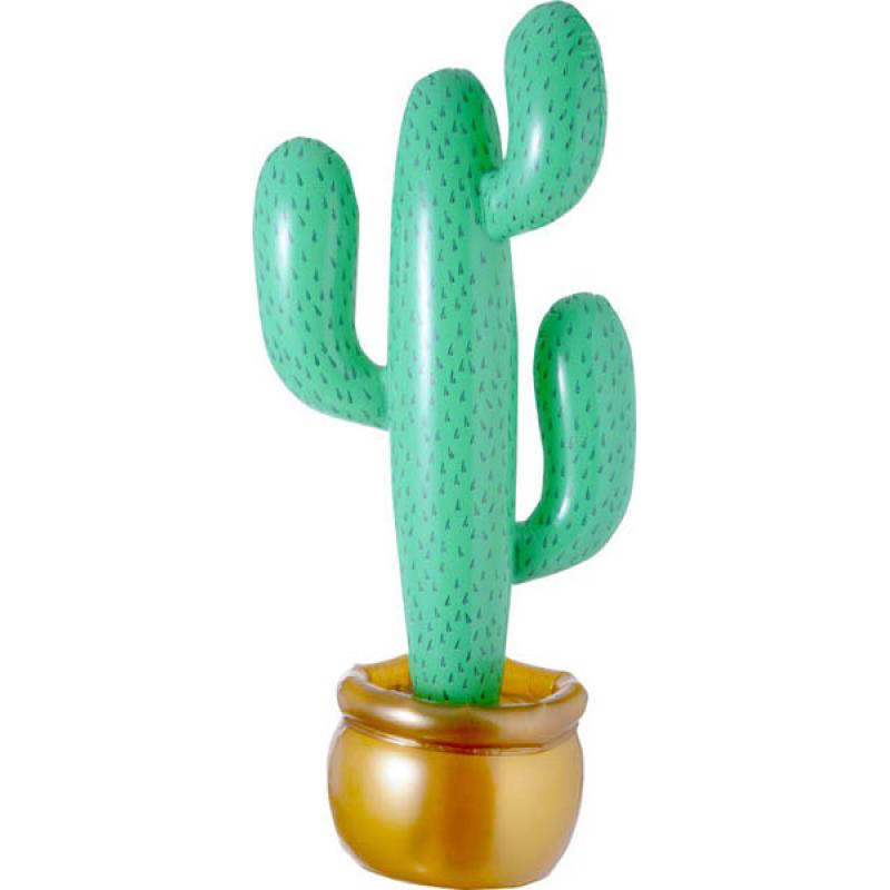 Cactus gonflable pas cher