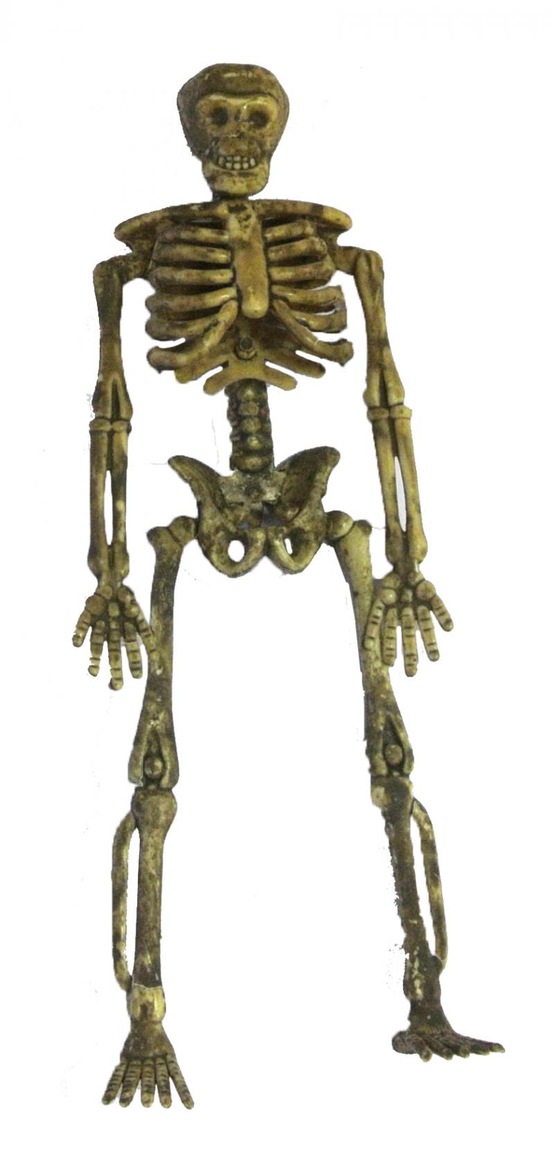 Halloween : carte de 4 squelettes articulés