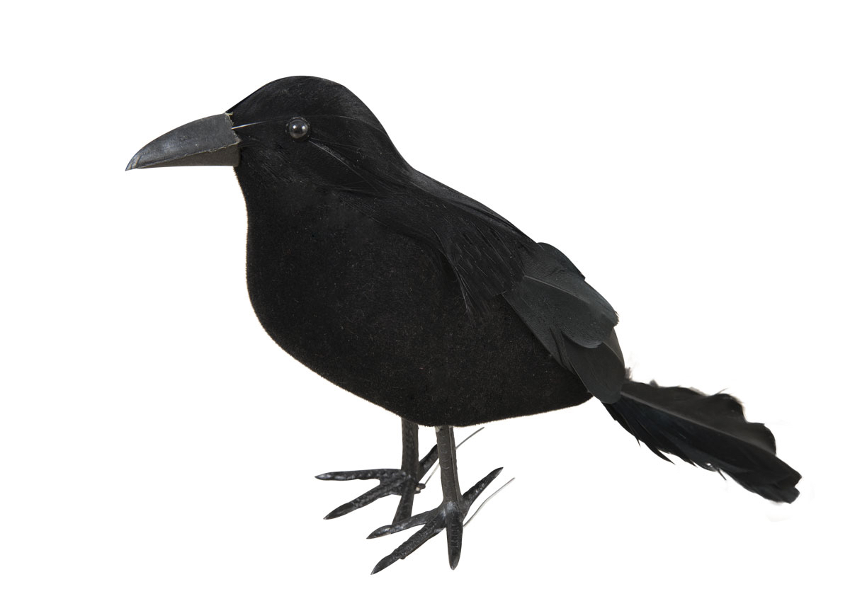 Halloween : corbeau plumes déco