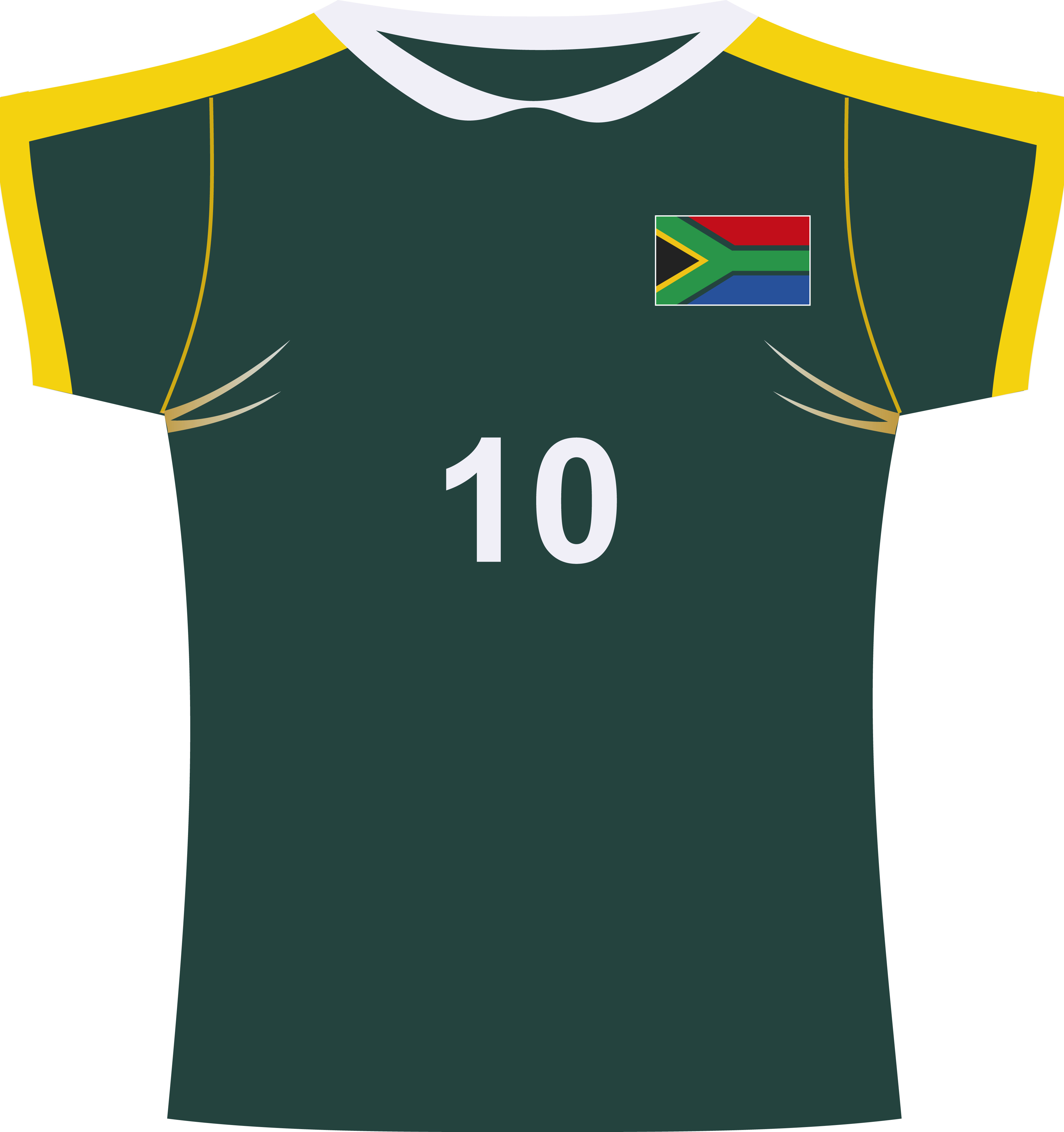Décoration maillot afrique du sud de rugby pas mal