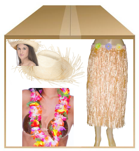 Déguisement hawaienne femme pas cher