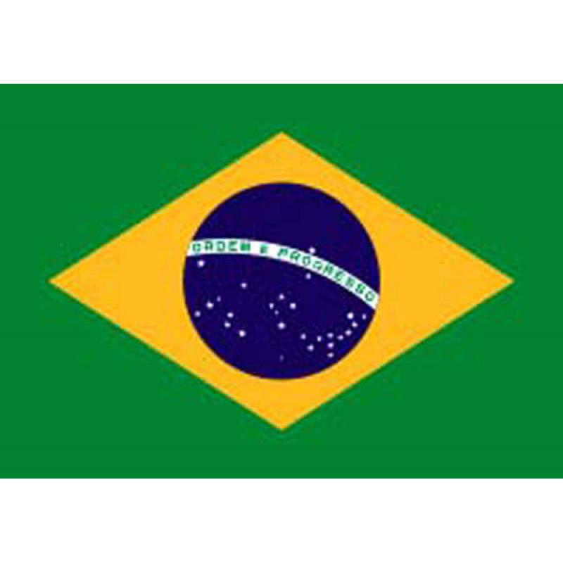 Drapeau Brésil pas cher