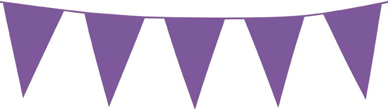 Guirlande fanions triangle violet  pas cher