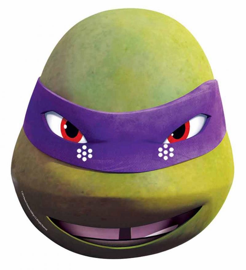 Masque Donatello adulte pas cher
