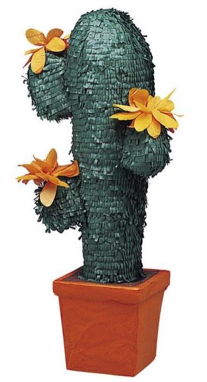 Pinata Cactus pas cher