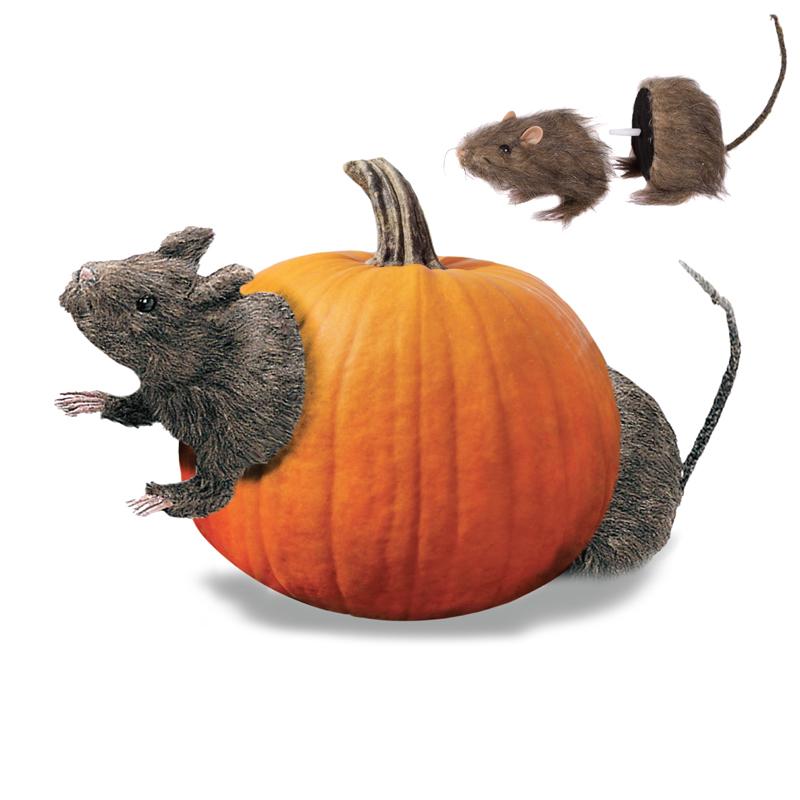 Halloween : rat en deux parties