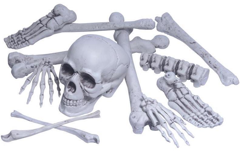 Sac d' os réalistes avec crânes