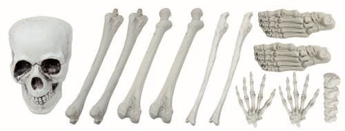 Halloween : sac d'os avec crâne