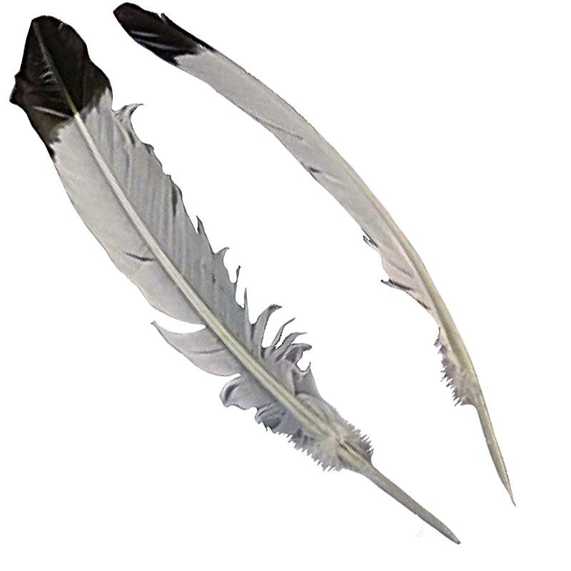 Set de 2 plumes pas cher